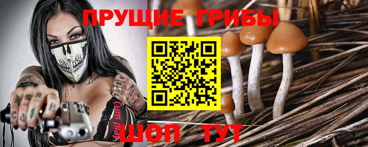 Мефедрон   Каннабис  NBOMe  Кокаин  Чистополь  Вход с VPN  Меф 
