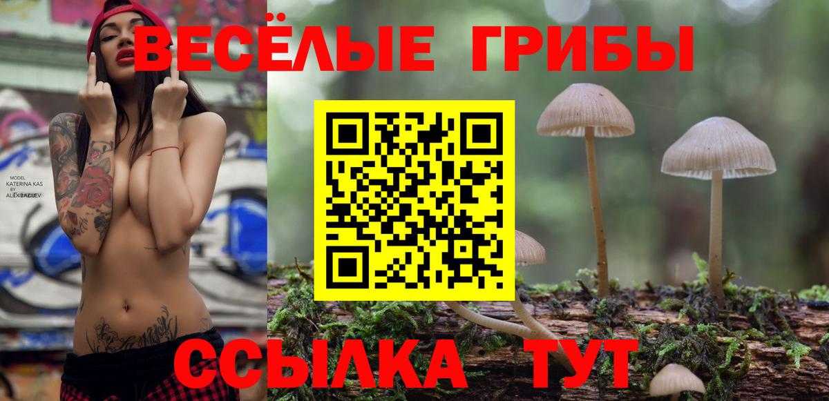 дарнет шоп  Вход с VPN  Чистополь  Галлюциногенные грибы MAGIC MUSHROOMS  Галлюциногенные грибы мухоморы 
